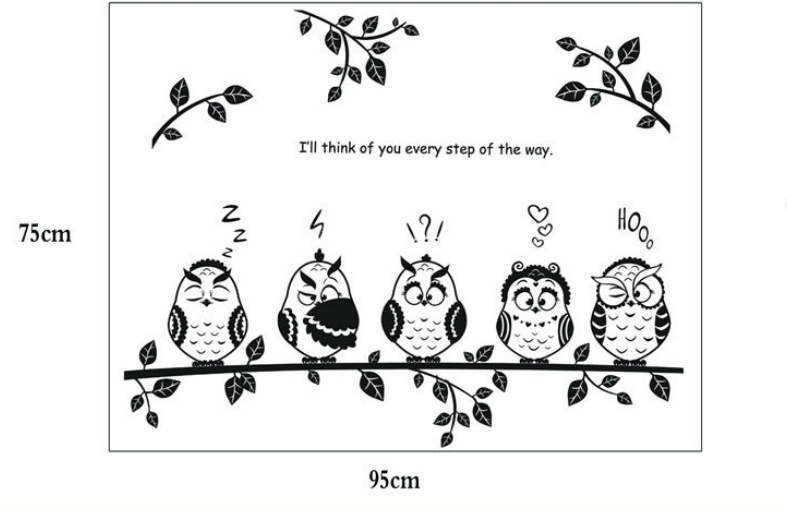 Chim cú trắng đen